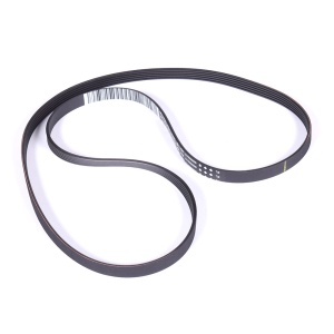 картинка Ремень приводной "1189 5PJE" стиральной машины в Сервисном центре «Близнецов»