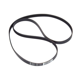 картинка Ремень приводной "L-1245 H8" стиральной машины в Сервисном центре «Близнецов»