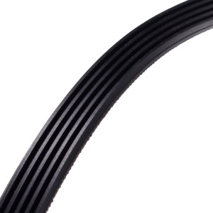 картинка Ремень приводной "1208 5EPJ" стиральной машины в Сервисном центре «Близнецов»