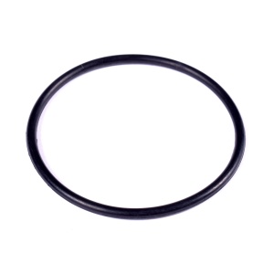 картинка Прокладка уплотнительная ТЭНа  водонагревателя в Сервисном центре «Близнецов»