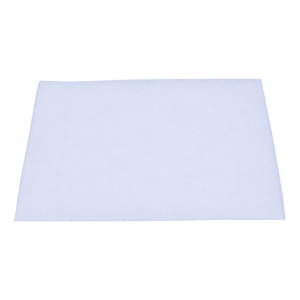 картинка Фильтр пылесоса в Сервисном центре «Близнецов»