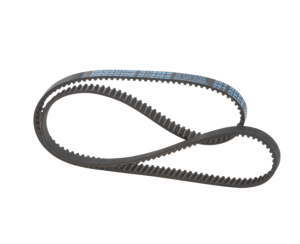 картинка Ремень приводной кухонного комбайна в Сервисном центре «Близнецов»