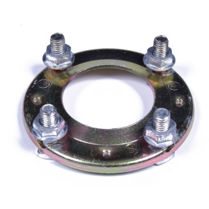 картинка Фланец IF100V водонагревателя в Сервисном центре «Близнецов»