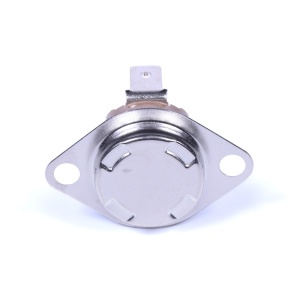 картинка Термостат водонагревателя в Сервисном центре «Близнецов»